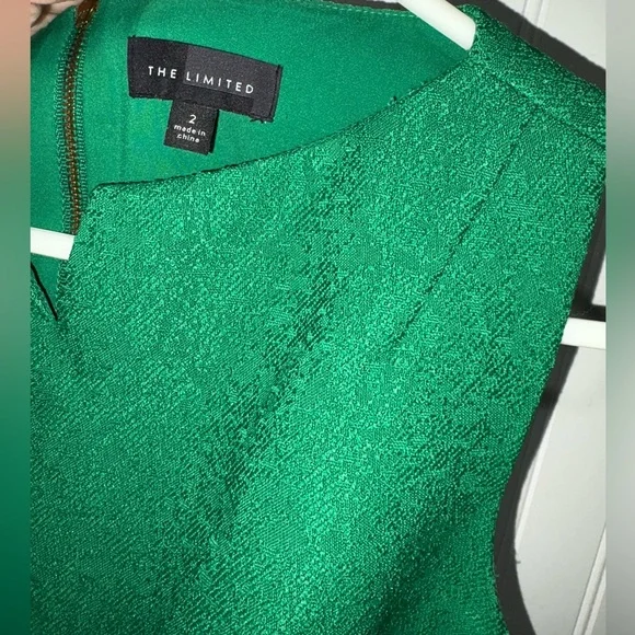 The Limited Elegant Green Sleeveless Dress| Size 2 - Picture 3 of 4